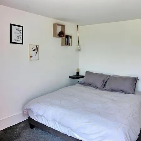 Maison Type Loft Avec Terrasses *